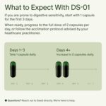 Seed DS-01 Daily Synbiotic - Prebiotic and Probiotic - Image 3